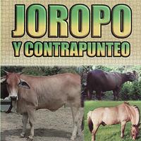 Various Artists - Joropo y Contrapunteo