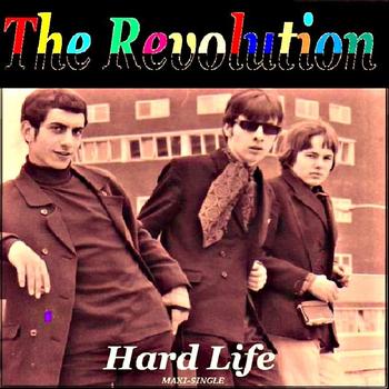 The Revolution - Hard Life version 2