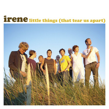 Irene - Little Things