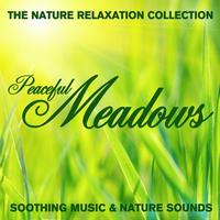 Sugo Music Artists - The Nature Relaxation Collection - Peaceful Meadows / Soothing Music and Nature Sounds