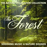 Sugo Music Artists - The Nature Relaxation Collection - The Forest / Soothing Music and Nature Sounds