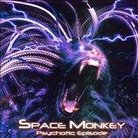 Space Monkey - Psychotic Episode