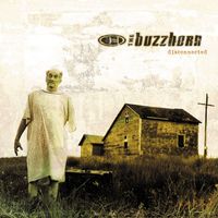 The Buzzhorn - Disconnected