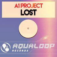 A1 Project - Lost
