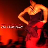 Lypocodium, Helen Brown - Via Flamenca