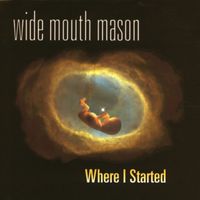 Wide Mouth Mason - Where I Started