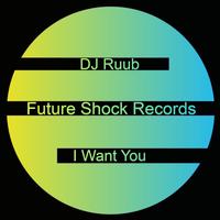 DJ Ruub - I Want You