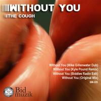 Sean Biddle - Without You