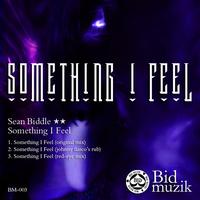 Sean Biddle - Something I Feel