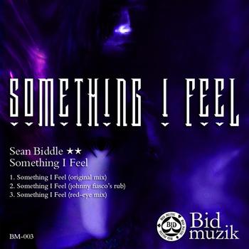 Sean Biddle - Something I Feel