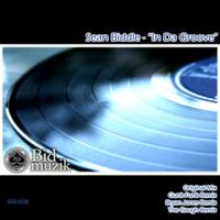 Sean Biddle - In Da Groove