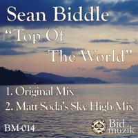 Sean Biddle - Top Of The World