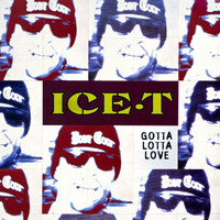 Ice T - Gotta Lotta Love (Explicit)