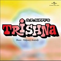 Various Artists - Trishna (Original Motion Picture Soundtrack)