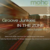 Evan Landes (Groove Junkies) - In The Zone Album Sampler, Pt. 1 - EP