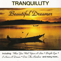 Paul Brooks - Beautiful Dreamer