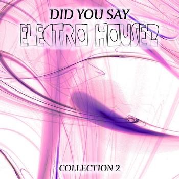 Various Artists - Did You Say Electro House?, Vol. 2