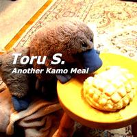 Toru S. - Another Kamo Meal