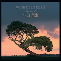 The Triffids - Wide Open Road: The Best Of The Triffids