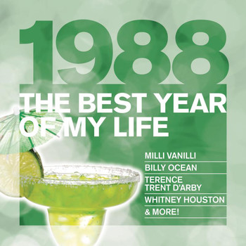 Various Artists - The Best Year Of My Life: 1988