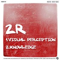 2R - Visual Perception