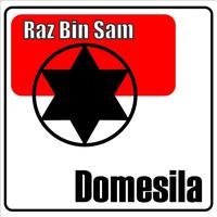 Raz Bin Sam - Domesila