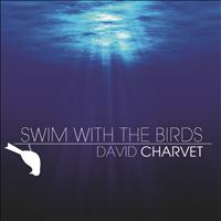 David Charvet - Swim With The Birds