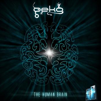 Geko - The Human Brain