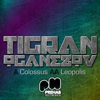 Tigran Oganezov - Colossus / Leopolis