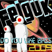 Felguk - Felguk - Do You Like Bass 2009