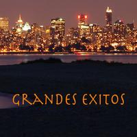 La Banda Del Amor - Grandes Exitos