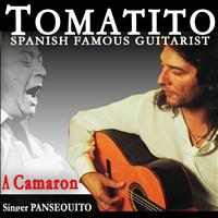 Tomatito - Pansequito