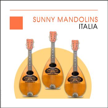 Angelo Petisi - Sunny Mandolins - Italia - Italy