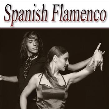 Various Artists - Flamenco 4