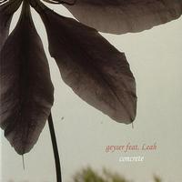Geyser - Concrete