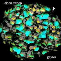 Geyser - Clean Sweep