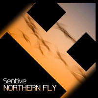 Sentive - Northern Fly