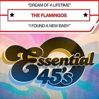 The Flamingos - Dream Of A Lifetime (Digital 45) - Single