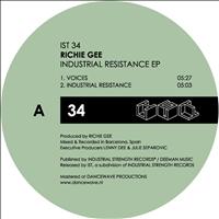 Richie Gee - Industrial Resistance (Explicit)