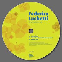 Federico Luchetti - Groovalisme