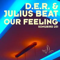 D.E.R. - Our Feeling