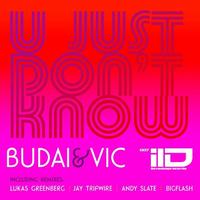 Budai & Vic - U Just Don't Know