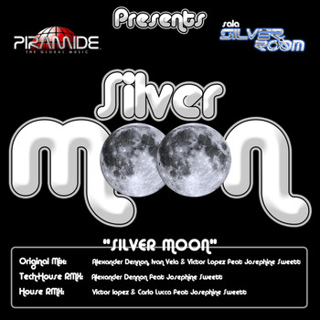 Silver Room - Silver Moon