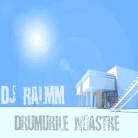 DJ Ralmm - Drumurile Noastre