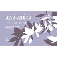 François K. - Awakening (feat. Barbara Mendes) [Needs Remixes]
