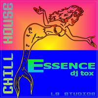 Dj Tox - Chill House: Essence