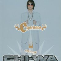 Wong Tze Wah - Experience