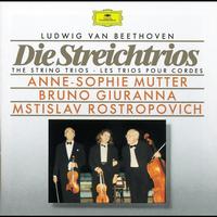 Anne-Sophie Mutter, Bruno Giuranna, Mstislav Rostropovich - Beethoven: The String Trios