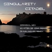Singularity - Citadel