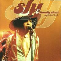 Sly & The Family Stone - Ain't That Lovin'